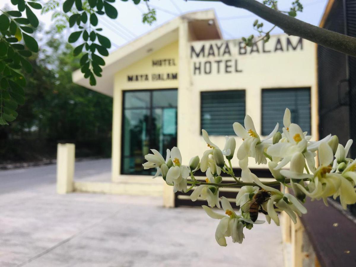 Hotel Maya Balam Xpujil Exterior photo